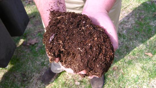 Een handvol compost