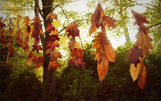 Herfstfeestje2
