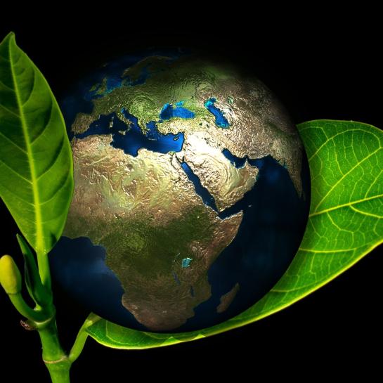 World Wide Waste
